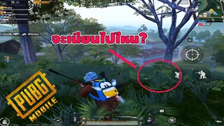 เจองูเนียนแต่ไม่มีพิษ - PUBG MOBILE