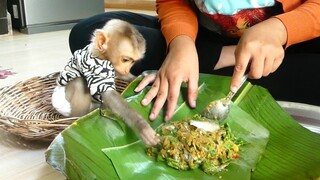 Wow!! Orphan baby monkey Maku Very obedient Sitting on Basket Looking and Help Mom Prepare Cook