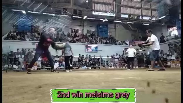 fight KKK GF