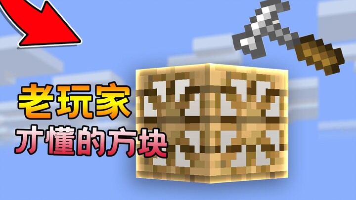 Blocks that only veteran Minecraft players understand: freely deform and modify textures!