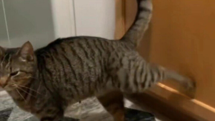 Đúng vậy mẹ ơi, con gõ cửa kiểu này đó.