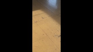 🎲The Dark Dice🎲 ep 1