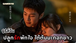 ปลูกรักพักใจ ใต้ต้นมะกอกขาว🌳✨ | อาจ้านตั้งใจรักษาเพื่อจะไปพบซ่งหร่านน่ารักดีต่อใจมากผู้ชายกรีนแฟลก