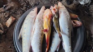 Doomsday Wasteland Food: Big Fish Soup