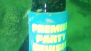 在海底能捞到些什么宝藏...