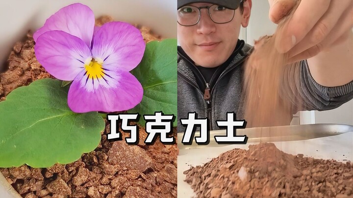 【Neil tiết lộ bí mật】Đất = Sô-cô-la + Đường + Nước