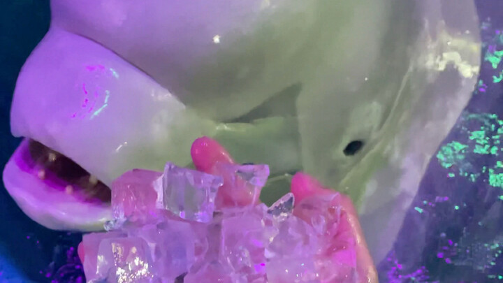 กินน้ำแข็งกันเถอะ