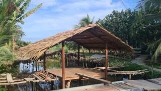 Kết thúc chuyện tình cái chòi của bin - Bin Đen Miền Tây # 107