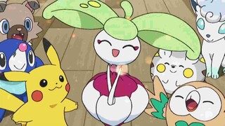 Steenee