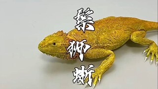 用白砂糖做了一只鬃狮蜥，外面抓的哪有自己做的香