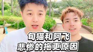 阿飞：旬猫俩兄弟悲惨的拖更原因，谁还不是个打工人