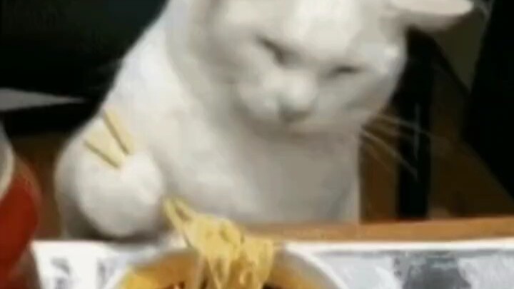 Uangnya habis, makan apa aja deh