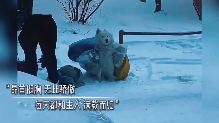 “Some lives will circle around and around, just to find their way to you and heal you.”