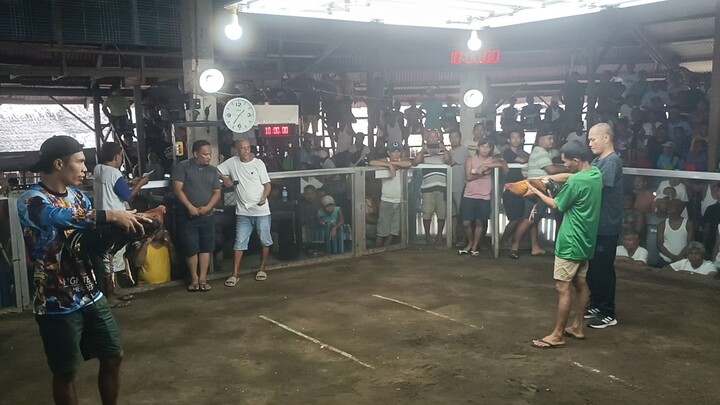 last fight (5th) win 2years samin vs 8 years old sa kanila