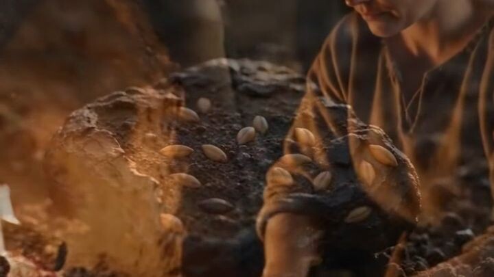 This Viking Bread Survived for Over 1,000 Years