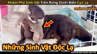 Hảo Hán Review Khám Phá Lớp Sinh Vật Đặc Sắc Trên Rừng Dưới Biển || Review Giải Trí Đời Sống