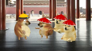 Cách phân biệt giữa sói và chó, bạn yêu thích sẽ cho bạn biết câu trả lời