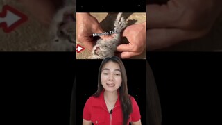 JANGAN DI KUBUR KALAU KETEMU INI AKHIRNYA WOWW  ?!?