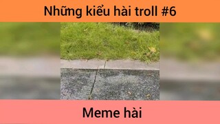 Những kiểu hài troll p6