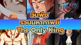 The Only One King |รวมฉากมหากาพย์
วันพีซ