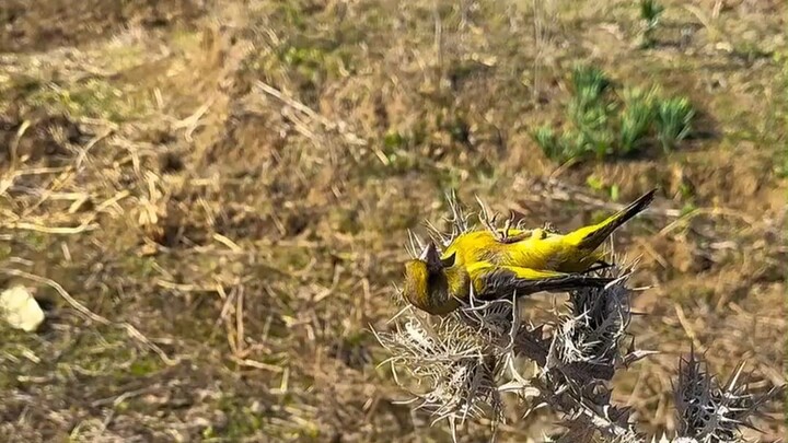 Can this situation still be saved?