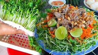 Cách làm GỎI BÒ RAU MẦM với rau mầm tự trồng siêu nhanh, siêu ngon @HANG CAN COOK