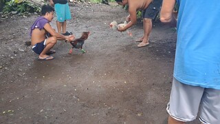 kanawayon whitestreamer dom