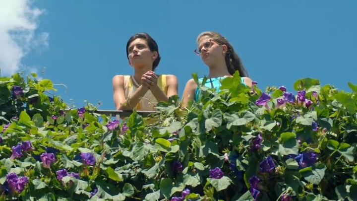【My brilliant friend】You are my brilliant friend