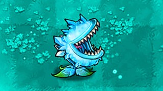 新植物：寒冰大嘴花