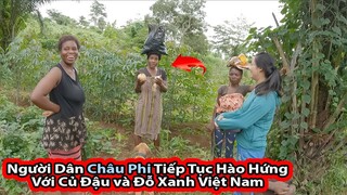 Tập 212: Đất trồng củ đậu biến thành khu trồng đỗ Xanh Việt Nam||2Q Vlogs cuộc sống Châu Phi