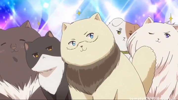 It's Meowthalia!!
