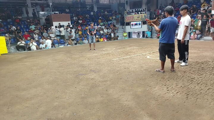 3x winner  tagalogin line