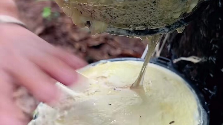 Both the top and bottom bowls of glue are full and overflowing.
