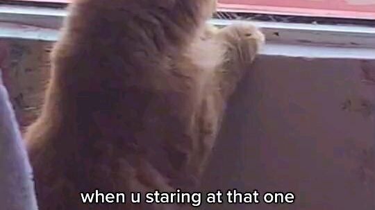 This is like a couple❤️starring with each other😍