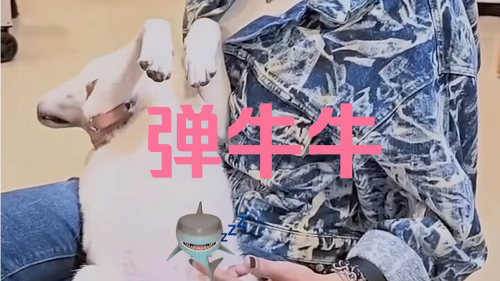 这是特殊服务吗，老六不讲武德