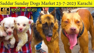 Saddar Sunday Dogs Market 23-7-2023 Karachi German Shepherd Pit bull Dog