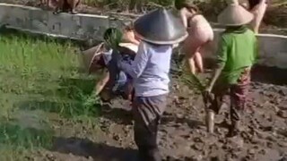 Bule Ikut Tandur