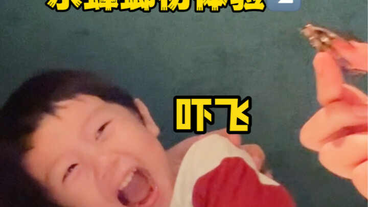 Guangdong people really do eat just about anything…