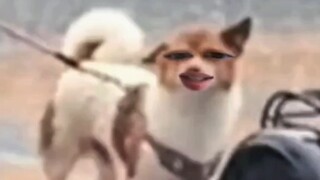 لن يحبك أحد إلى الأبد، ولكن سيكون هناك دائمًا شخص يحبك
