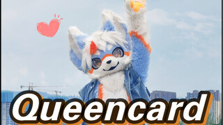 Even passers-by were brainwashed after hearing this song!! Little Blue Wolf danced to Queencard with