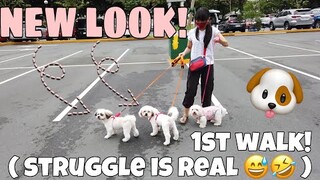 My dogs' 1st grooming, 1st time walk in the park! vlog