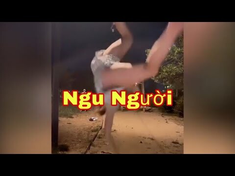 Xem xong chỉ việc cười 😂 - Phần 111 KTLN 24h |Funny Videos