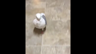 เลิกเหอะเช็คอินร้านเหล้า เปลี่ยนมาเช็คอินบ้านเราดีกว่า