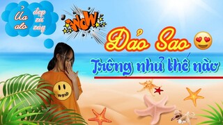 Đi Ăn Trưa Tại Đảo Sao Phú Quốc Có Gì Đặc Biệt 😋🌟 || Liệu Có Sánh Bằng Nhà Hàng 5 Sao 🤔 || Vlog