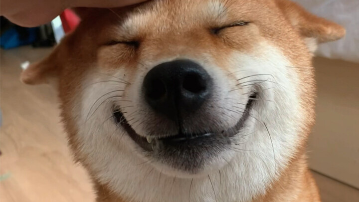 ก็แค่ชอบยิ้ม ทำอะไรไม่ได้!