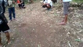 #white dome 7 months