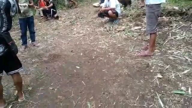 #white dome 7 months