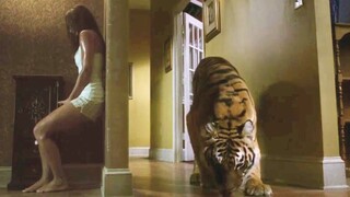 She Wakes Up To Find Herself Trapped With A Wild Tiger