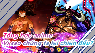 [Tổng hợp anime/AMV/Kinh điển] Vì sao chúng ta lại chiến đấu?