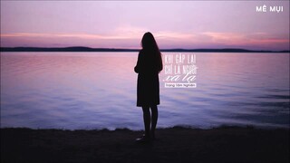 [Vietsub] Khi gặp lại chỉ là người xa lạ - Trang Tâm Nghiên